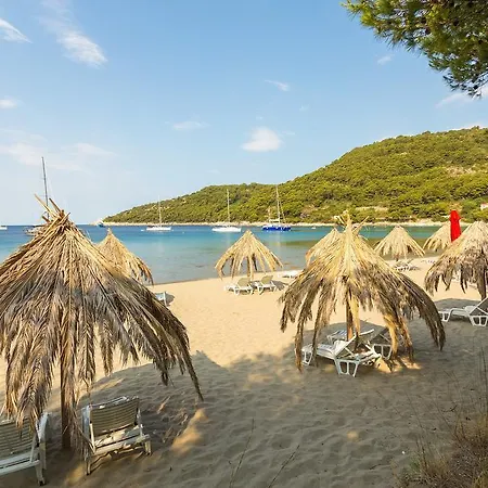 Pine Tree Boutique Apartments Saplunara