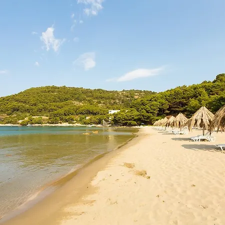 Apartman Pine Tree Boutique Apartments Saplunara