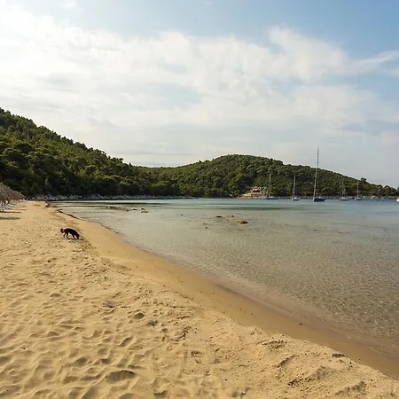 Apartman Pine Tree Boutique Apartments Saplunara
