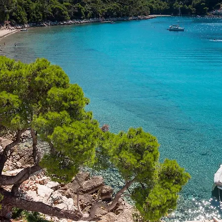 Apartman Pine Tree Boutique Apartments *