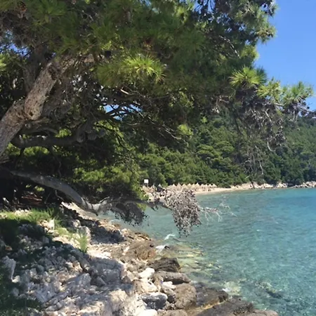 Apartman Pine Tree Boutique Apartments *