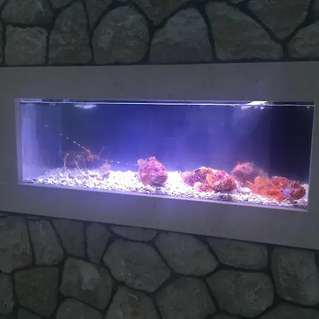 Pine Tree Boutique Apartments *