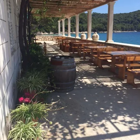 Pine Tree Boutique * Saplunara