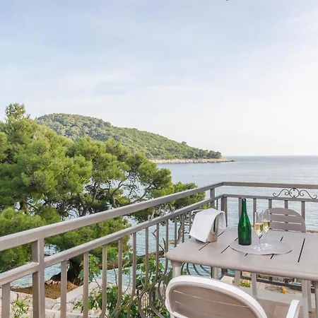 Pine Tree Boutique Saplunara