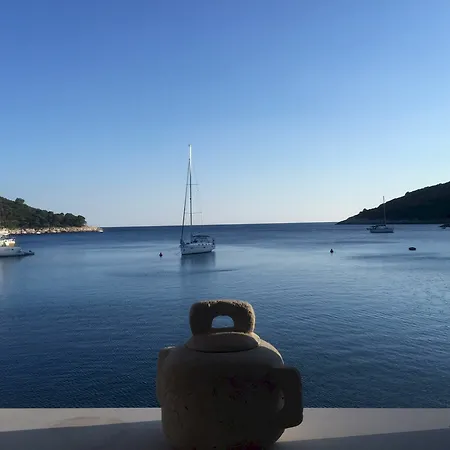 Pine Tree Boutique * Saplunara