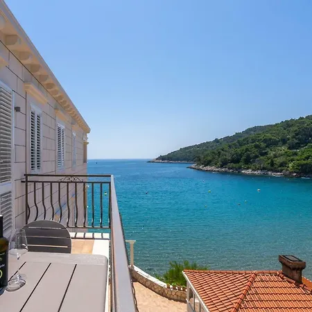 Pine Tree Boutique Saplunara